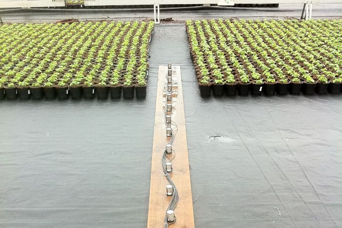 İstixana (Ammerlaan Construction ilə əməkdaşlıq)